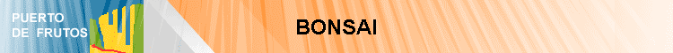 BONSAI