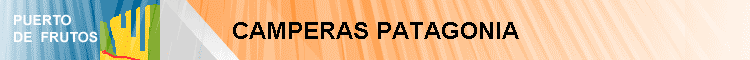 CAMPERAS PATAGONIA