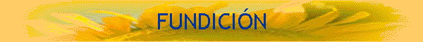 FUNDICI�N