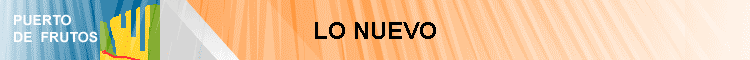 LO NUEVO