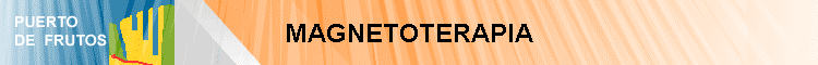 MAGNETOTERAPIA